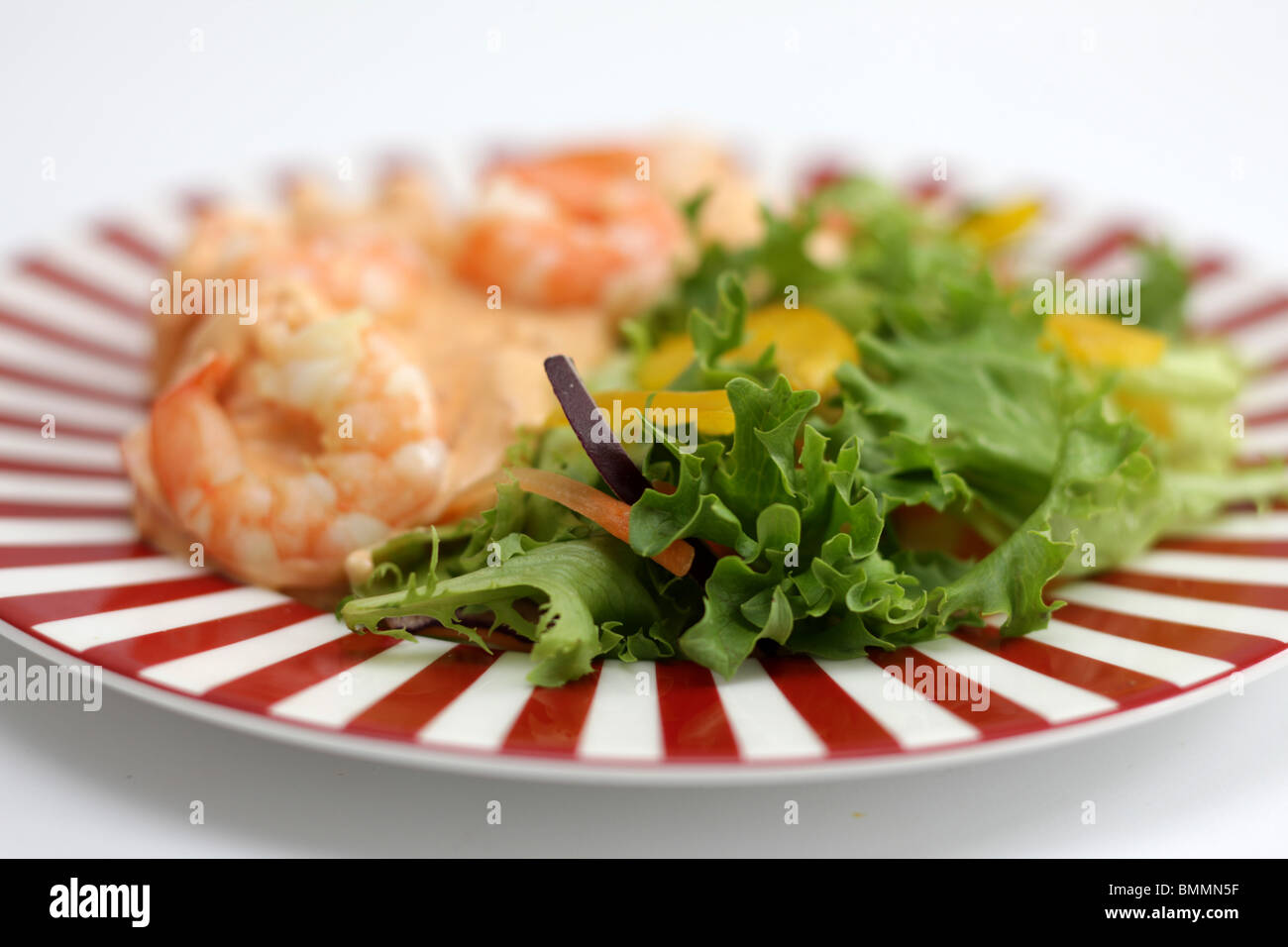 Salade de crevettes Banque D'Images