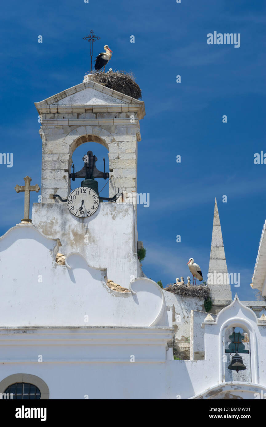 Le Portugal, Faro, l'Arco da Vila dans la vieille ville, avec la nidification des cigognes Banque D'Images