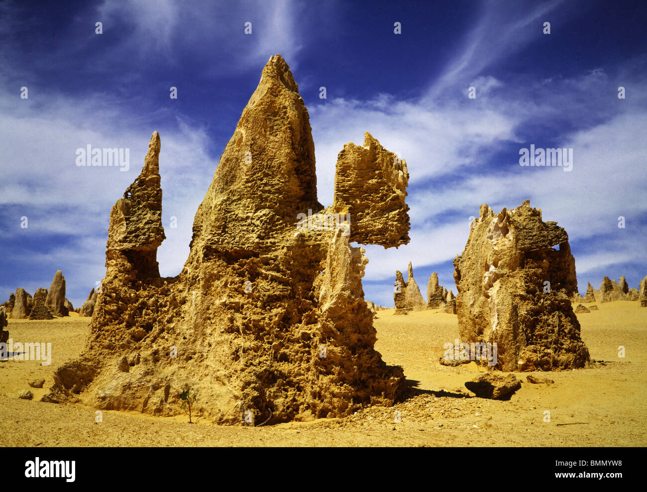 Désert des Pinnacle Banque D'Images