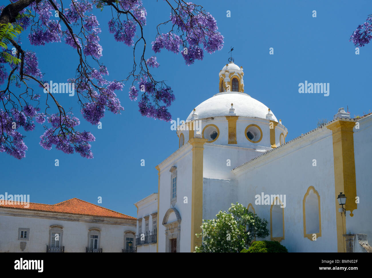Le Portugal, l'Algarve, Tavira, le Convento de Sao Francisco church avec Jacaranda tree in flower Banque D'Images