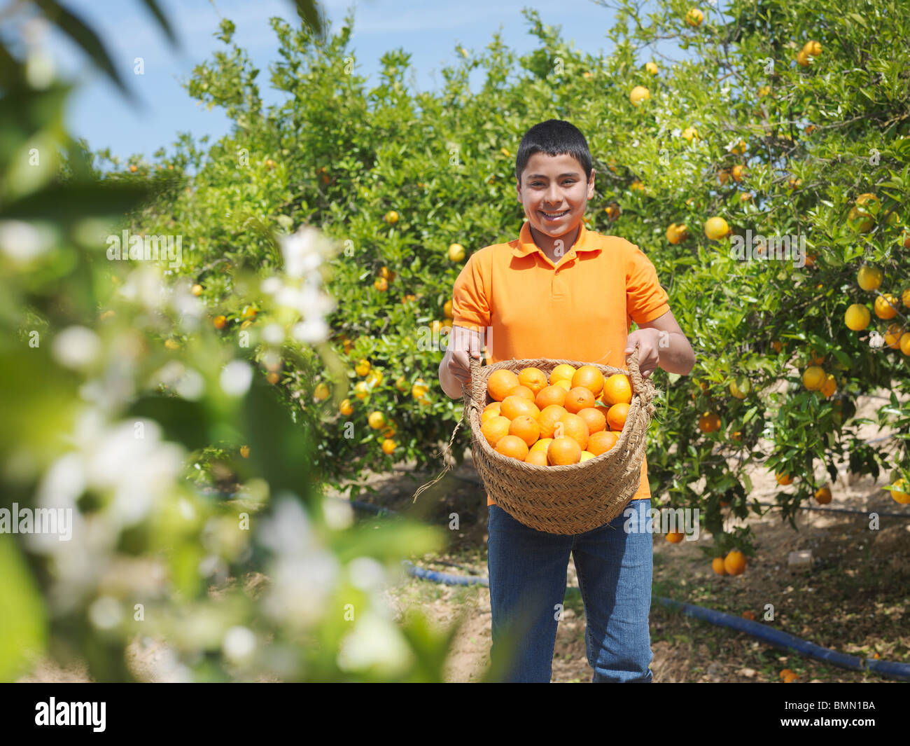 Boy showing panier plein d'oranges Banque D'Images