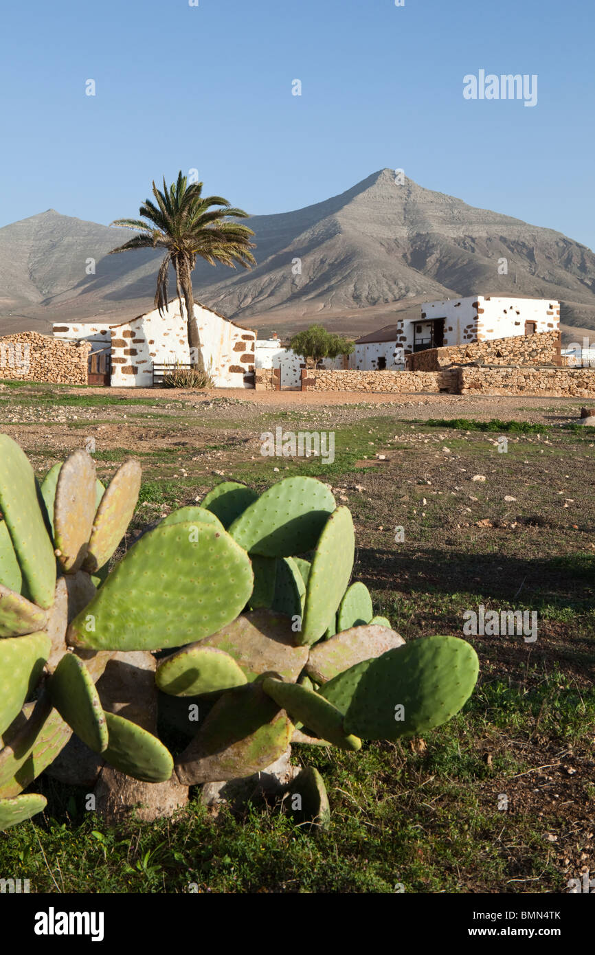 Ecomuseo de La Alcogida, un musée en plein air, près de Tefia sur l'île canarienne de Fuerteventura Banque D'Images