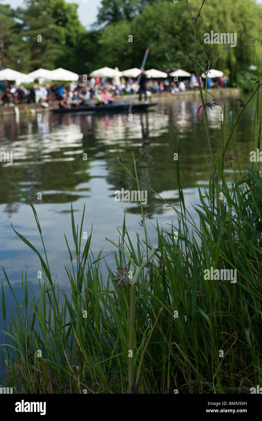 Un ferry transporte les passagers entre la came à la charrue pub, lors de la course d'aviron de bosses, Cambridge. Banque D'Images