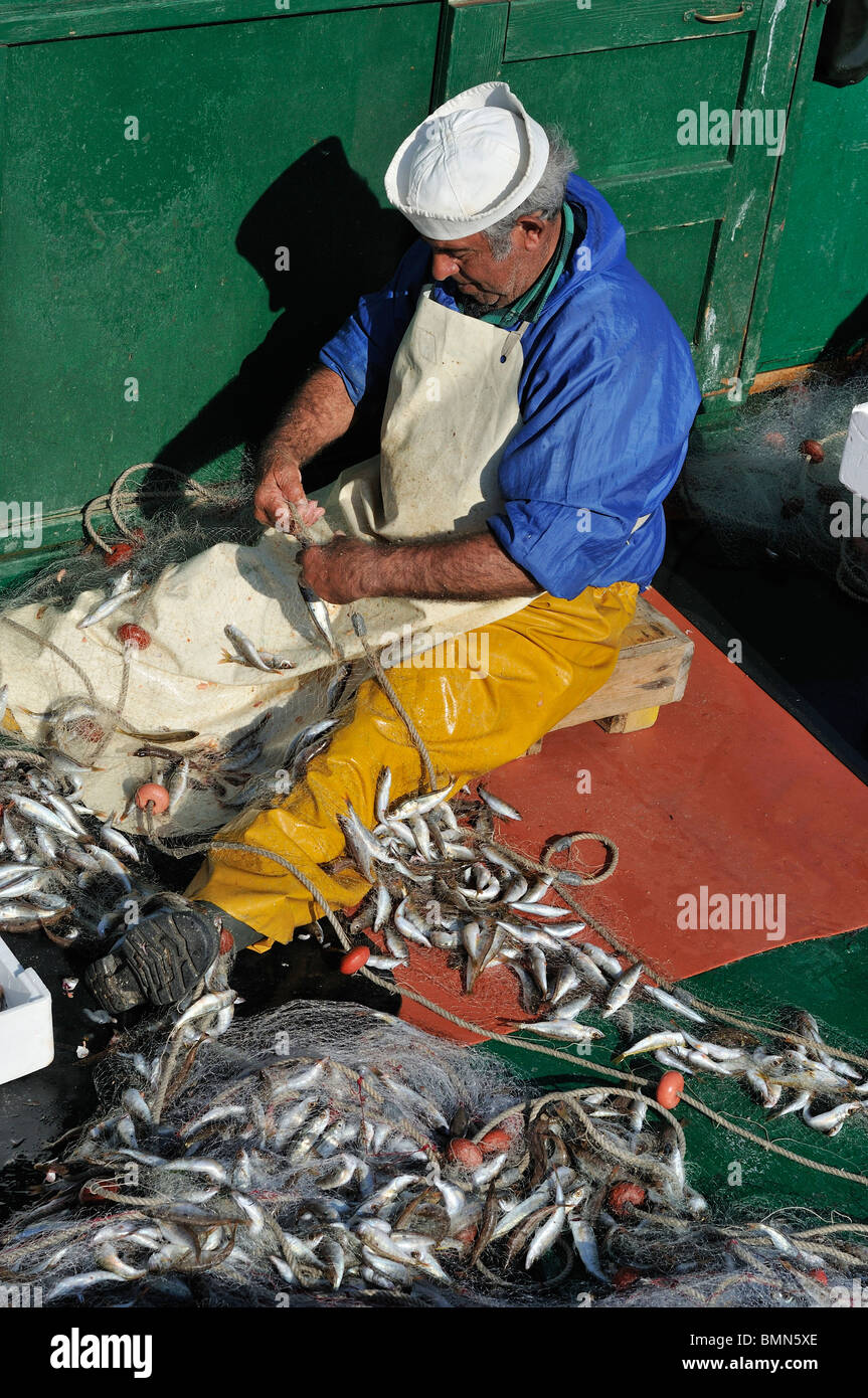 Gallipoli. L'Italie. Bateaux de pêche débarquer leurs prises sur le quai. Banque D'Images