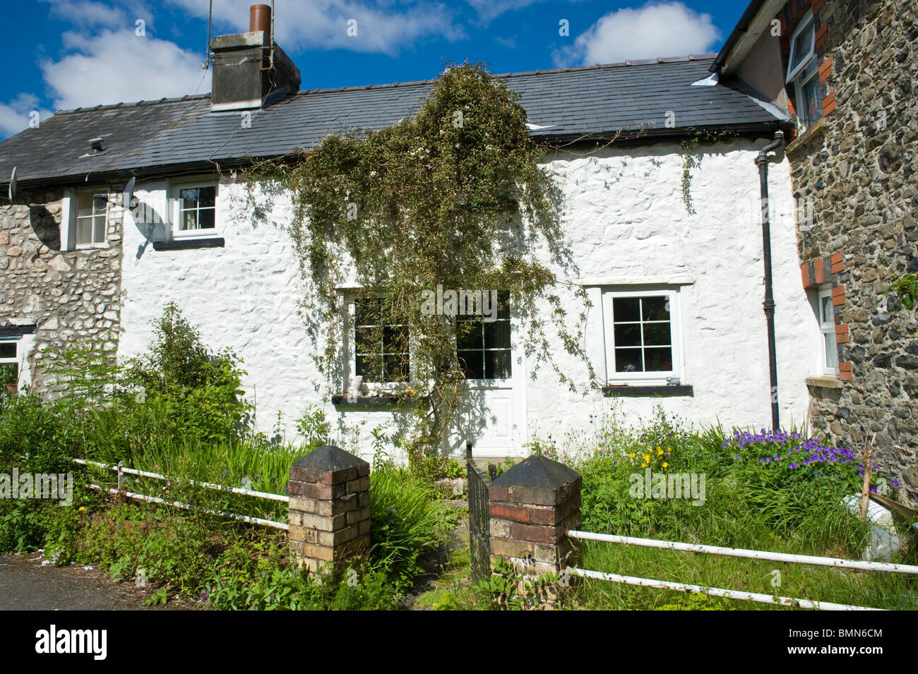 Cottage avec jardin avant envahi par de Llanwrtyd Wells Powys Pays de Galles UK Banque D'Images