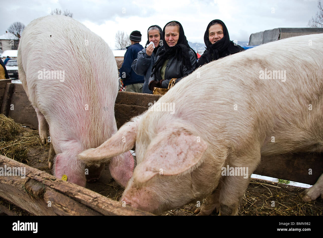 Un groupe de femmes au cours d'un marché d'animaux, Maramures, Roumanie, Europe. Banque D'Images