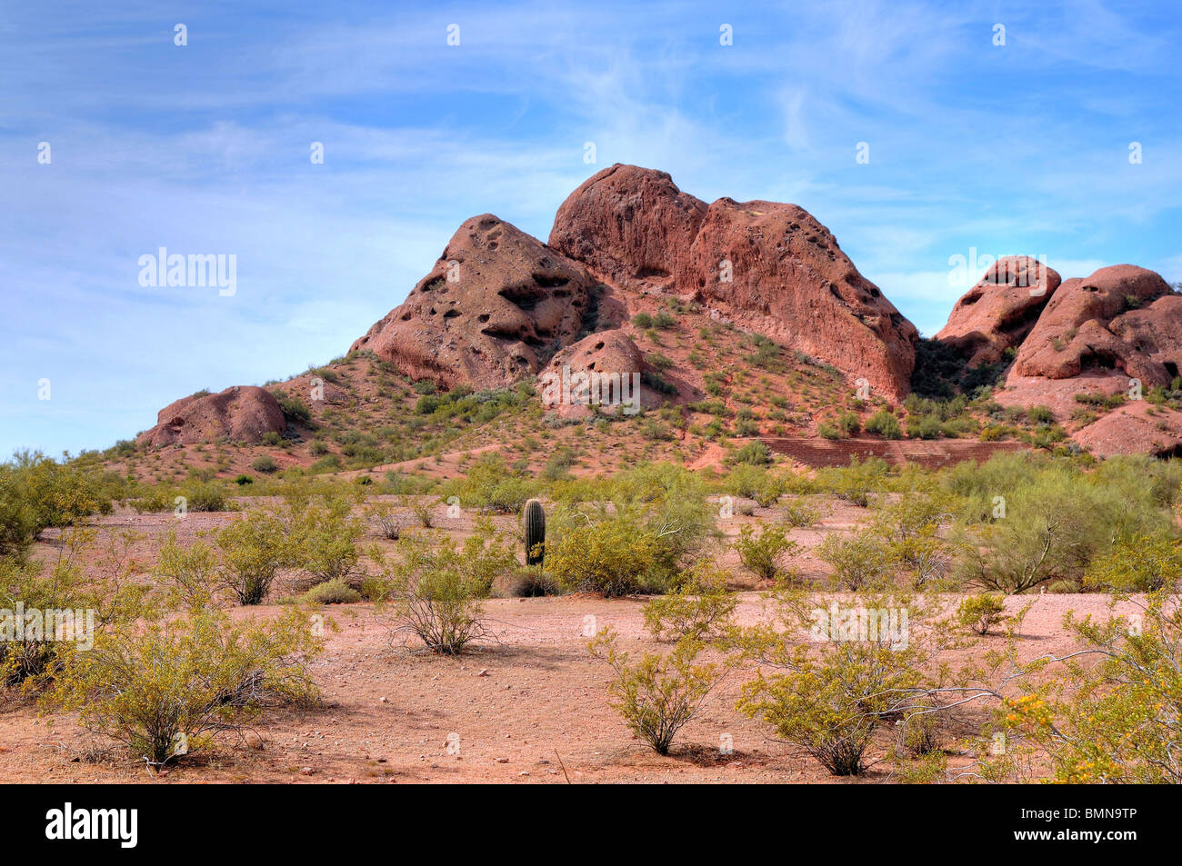 Désert de l'Arizona montagnes Papago Park Phoenix États-Unis Banque D'Images