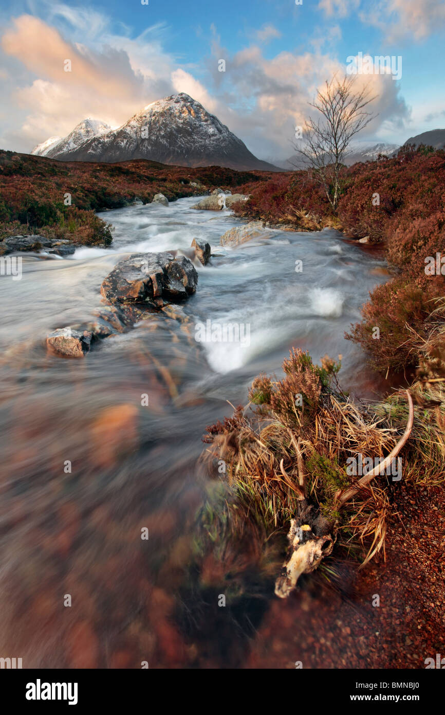 Un crâne de Red Deer est situé en périphérie de la rivière Coupall sous l'imposante Buachaille Etive Mor dans les Highlands d'Ecosse Banque D'Images Un crâne de Red Deer est situé en périphérie de la rivière Coupall sous l'imposante Buachaille Etive Mor dans les Highlands d'Ecosse Banque D'Images