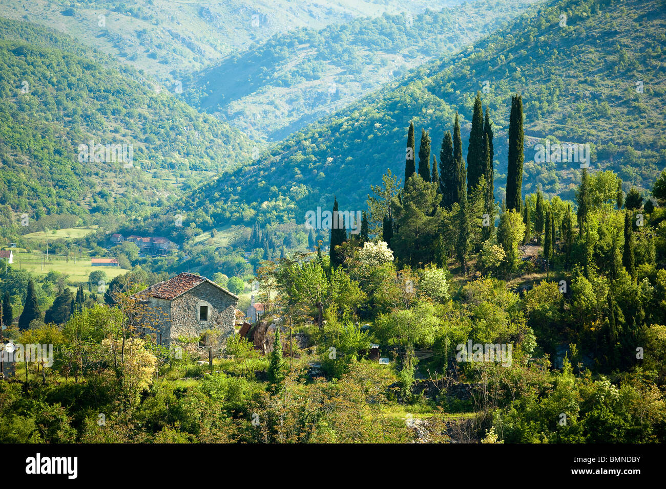 Monténégro Paysage de printemps - Maison et cyprès Banque D'Images