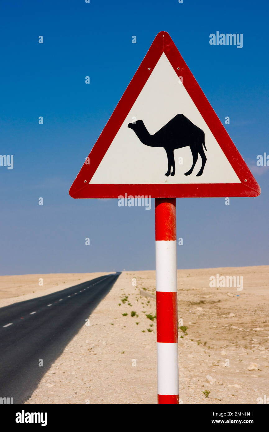 Le Qatar, route du désert d'avertissement de chameau Banque D'Images