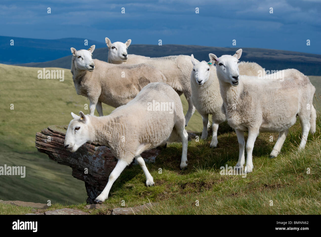 L'Europe, Royaume-Uni, pays de Galles, Powys, paysage de Brecon Beacons Banque D'Images