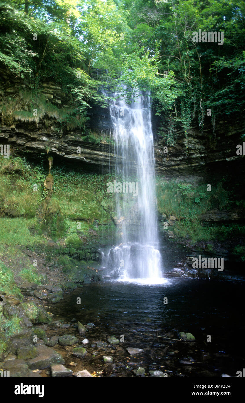 Cascade de Glencar, County Leitrim, Ireland Eire chutes d'Irlandais Banque D'Images