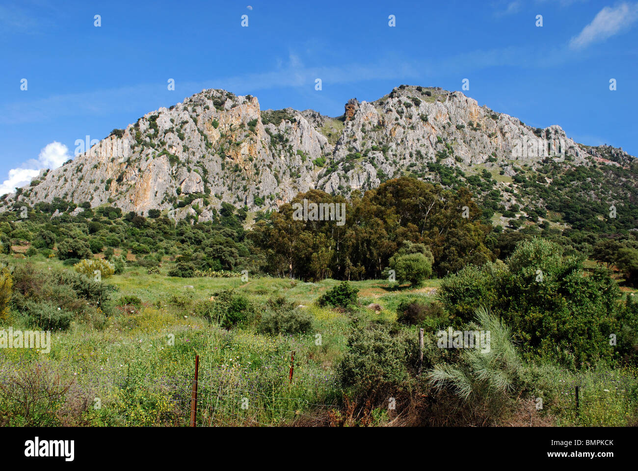 Reales Montagne / Montana Reales, Sierra Bermeja, près de Casares, la province de Malaga, Andalousie, Espagne, Europe de l'Ouest. Banque D'Images