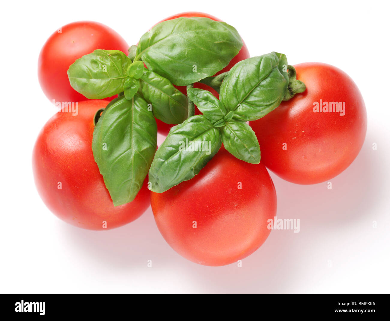 Tomates mûres et basilic Banque D'Images