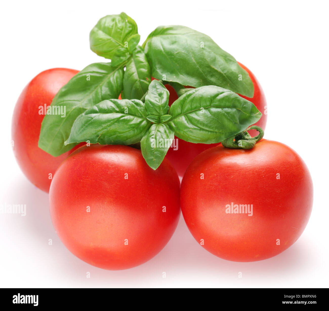 Tomates mûres et basilic Banque D'Images