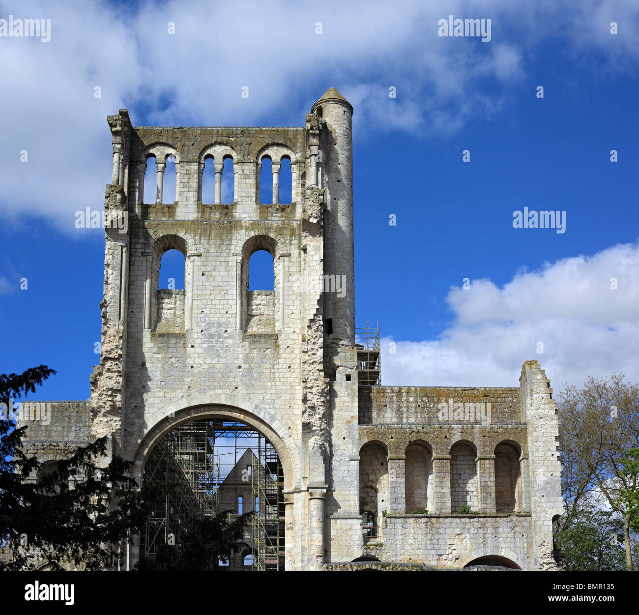 Abbaye de Jumièges, Seine-Maritime, Haute-Normandie, France Banque D'Images