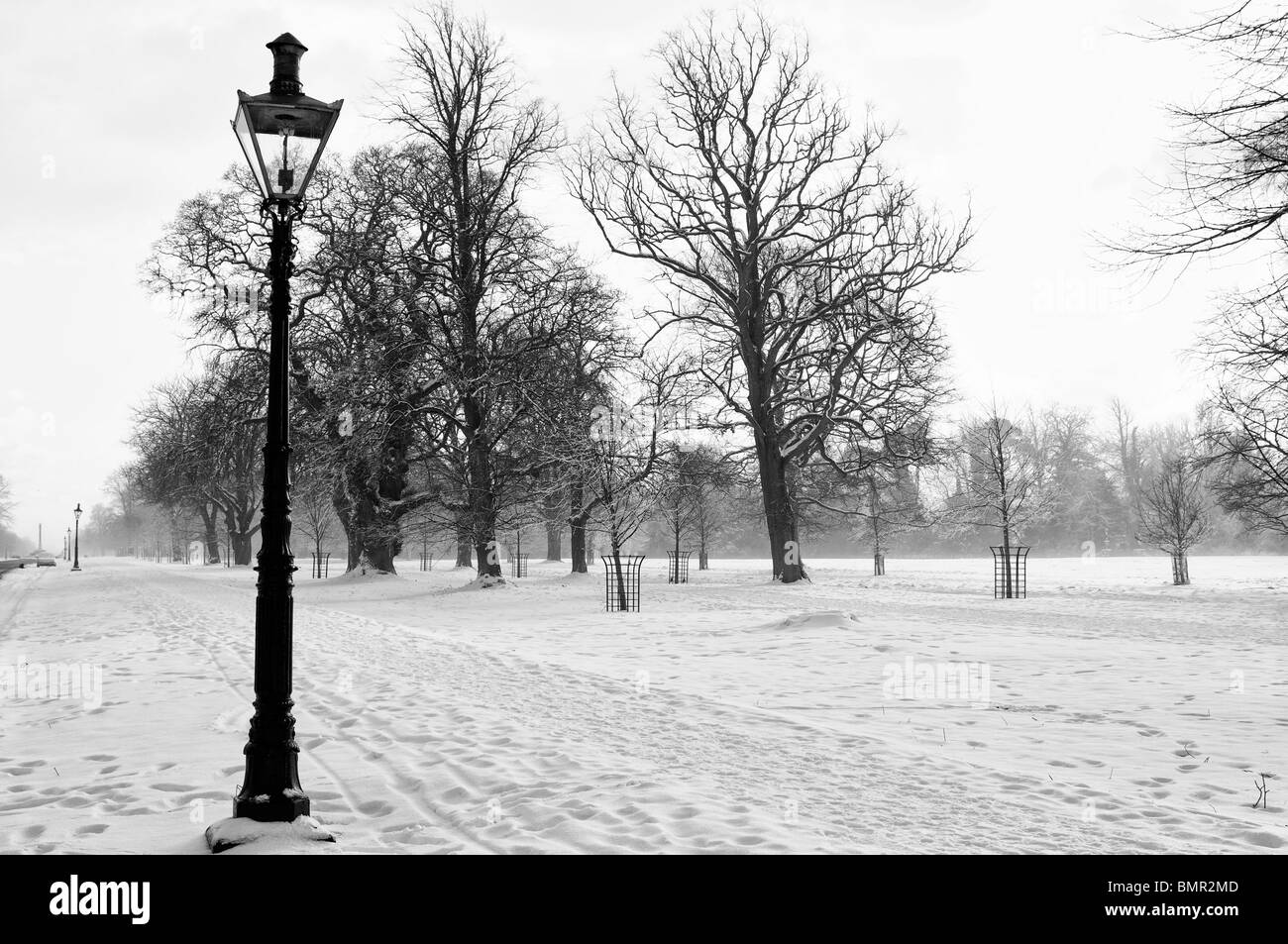 Phoenix Park Dublin Irlande du chemin de ronde Avenue arbre sentier de neige Neige winter scene scenic Banque D'Images