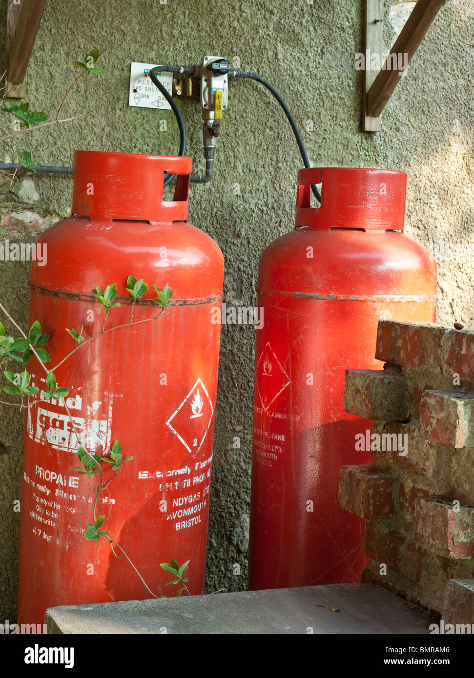 Bouteilles de gaz domestique en jardin UK Banque D'Images