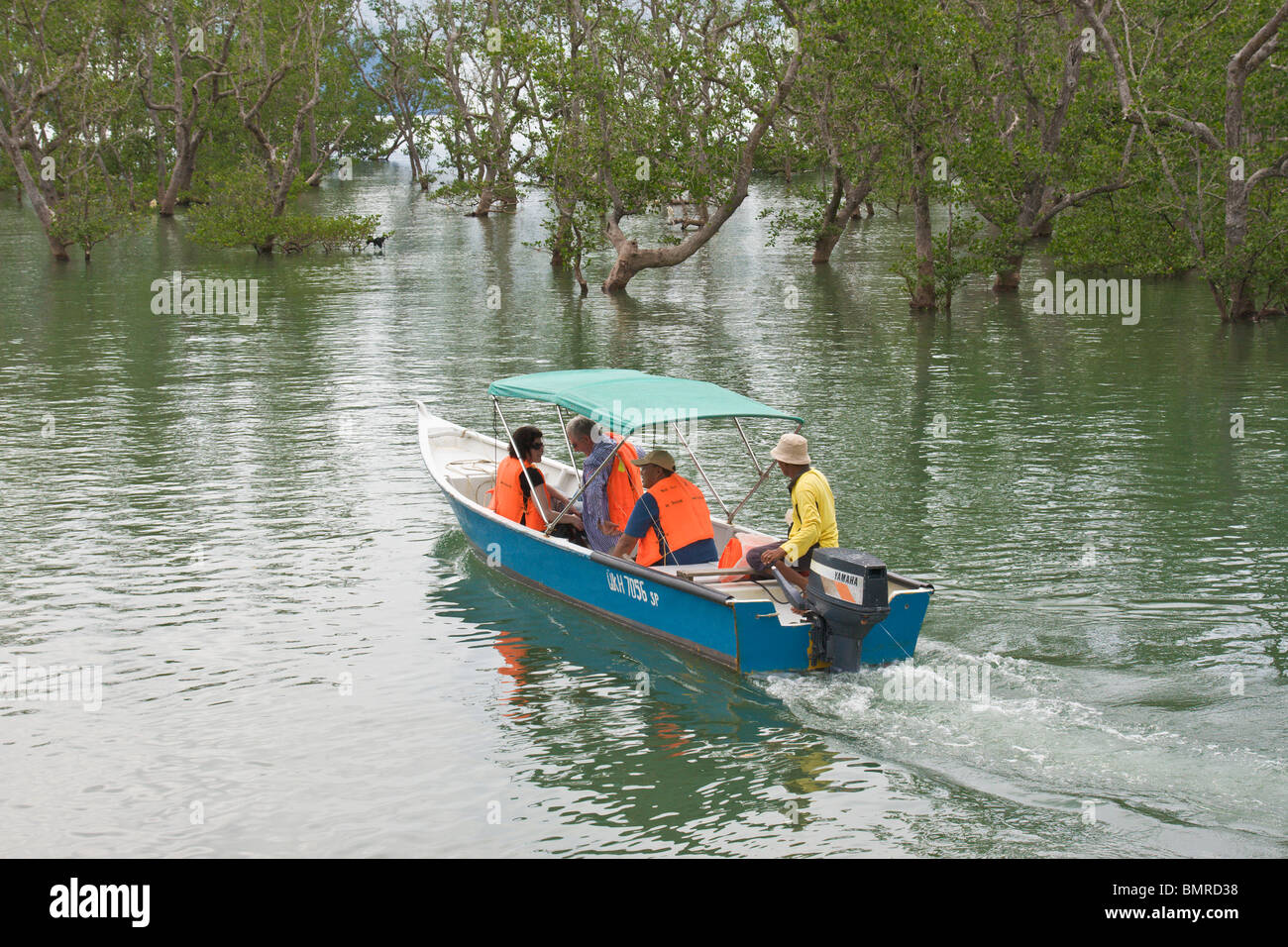 Bateau de tourisme dans la mangrove, parc national de Bako, Bornéo Banque D'Images
