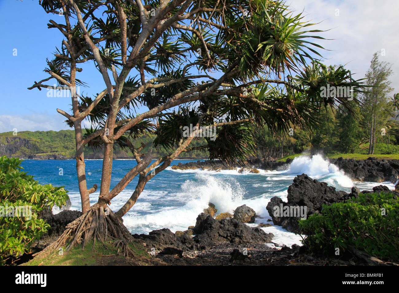 Keanae Peninsula, Hana Coast, Maui, Hawaii Banque D'Images