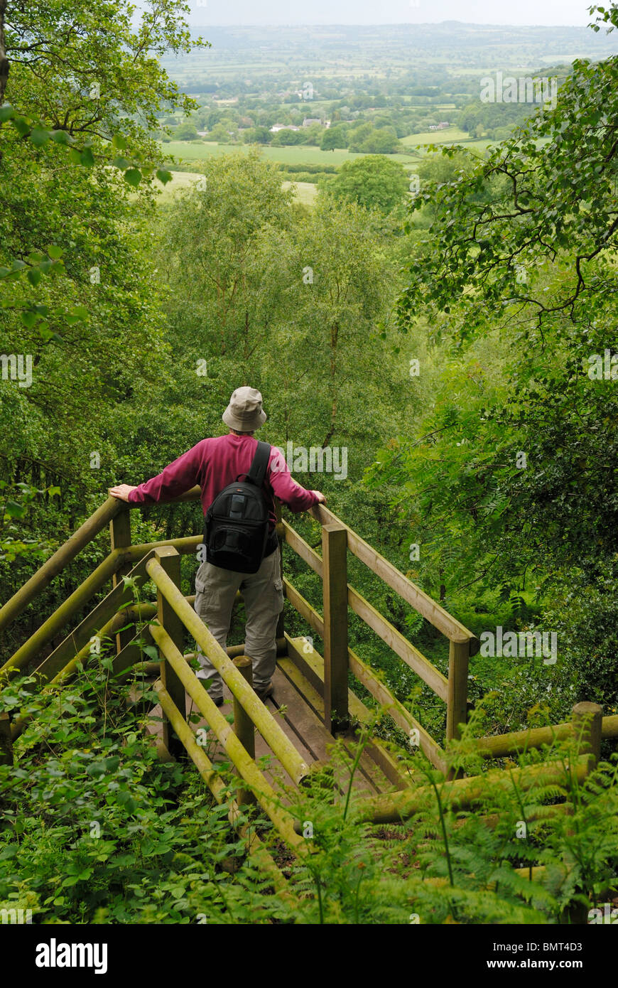 Walker en admirant la vue sur la Plaine du Cheshire du sentier de grès. Banque D'Images