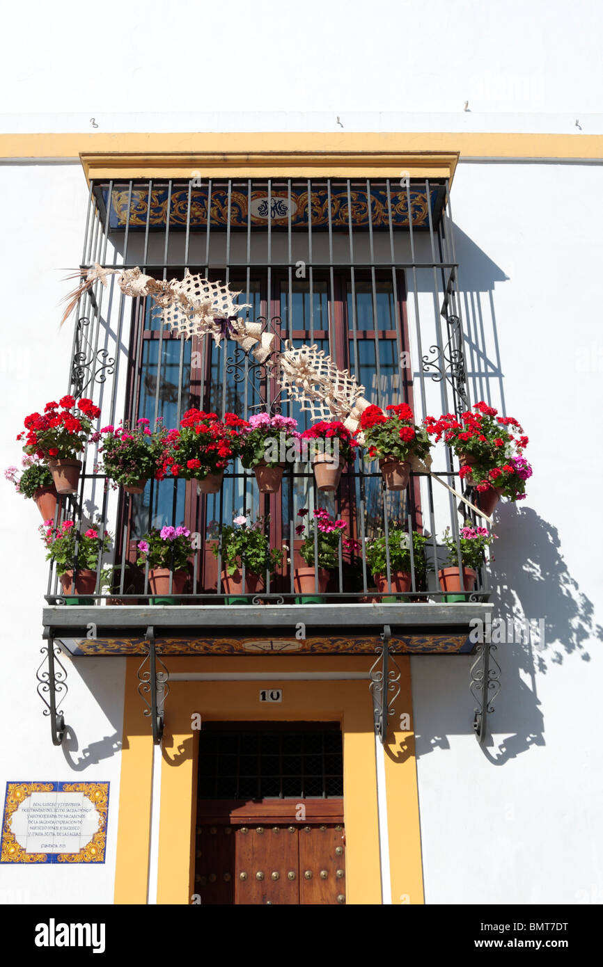 Géranium typiques couverts et fer forgé balcon fermé dans la Plaza del Museo Seville andalousie espagne Europe Banque D'Images