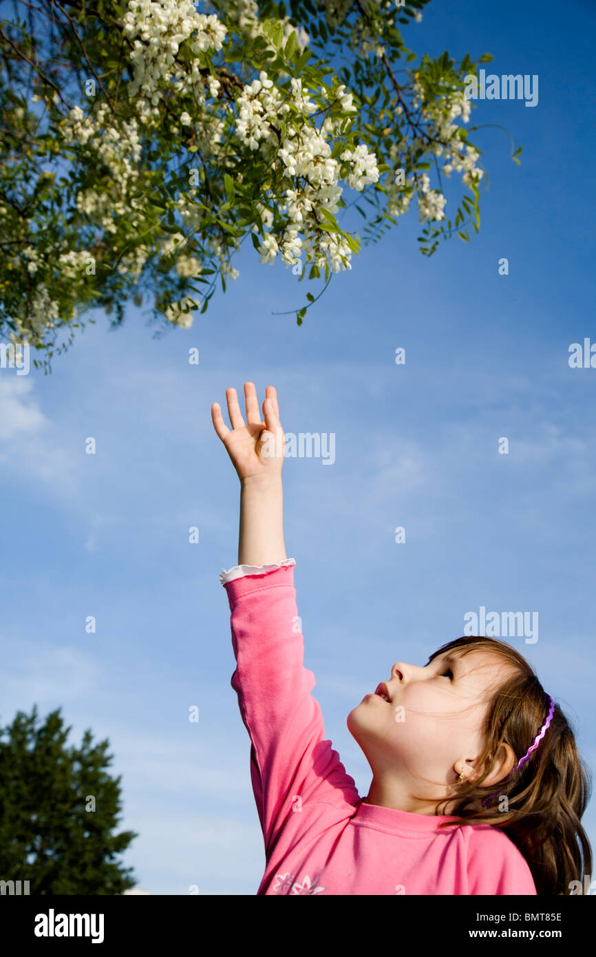 Petite fille et les fleurs de l'acacia Banque D'Images