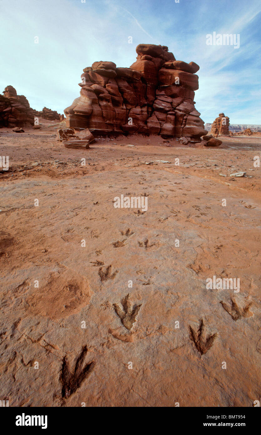 Les traces de dinosaures dans le Painted Desert, Ward Terrasse, Réserve Navajo, Cameron, Arizona, USA Banque D'Images