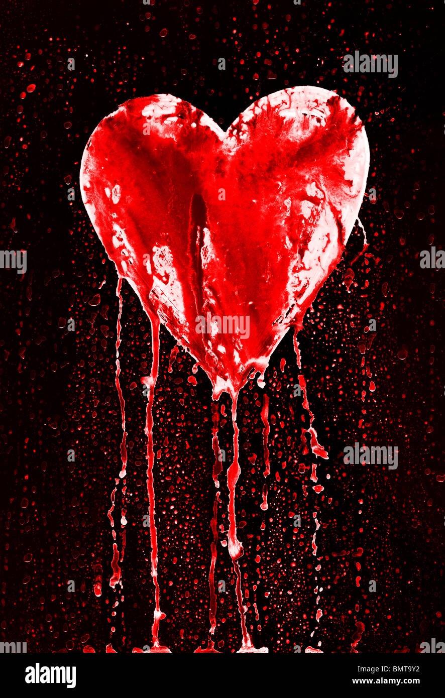 Bleeding Heart - symbole de l'amour Banque D'Images