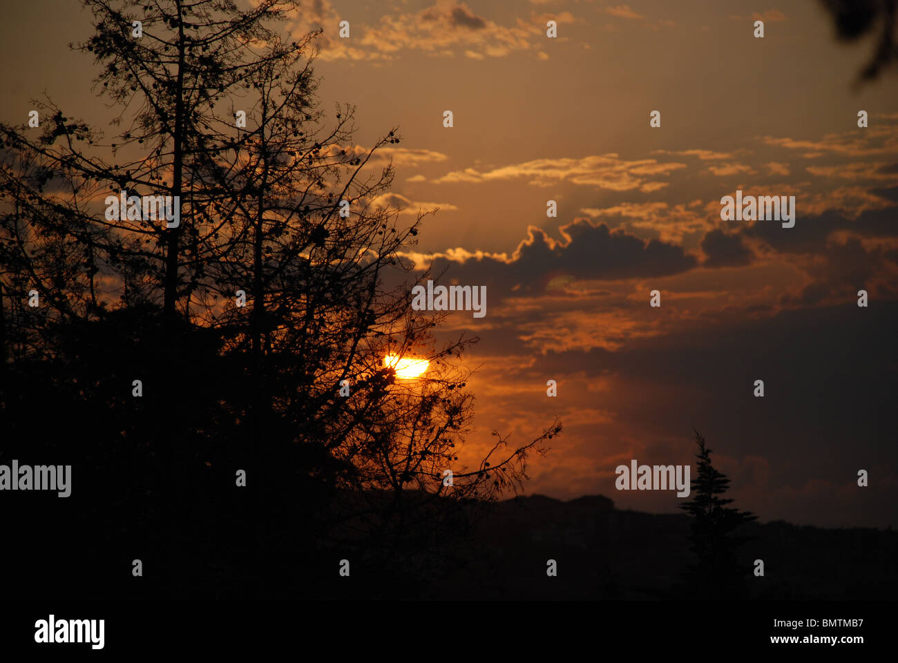 Nouveau jour, le lever du soleil, l'aube rouge,nuage,arbre,soleil,orange,noir,Kocaeli Banque D'Images