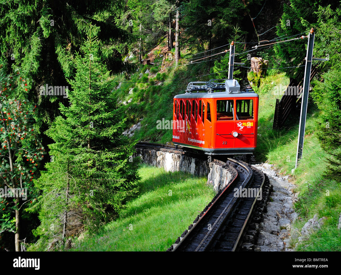 Le chemin de fer à crémaillère et pignon sur le Mont Pilatus, Suisse centrale, avec un train dans une forêt de pins. Banque D'Images