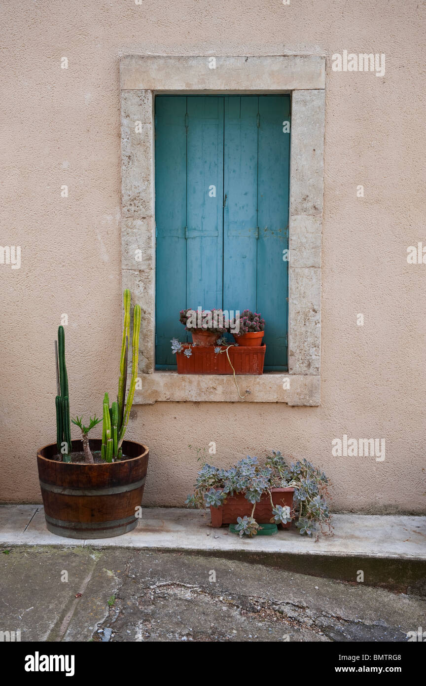Scène de village en Languedoc, sud de la France, avec des volets bleus et des cactus et succulentes au soleil Banque D'Images