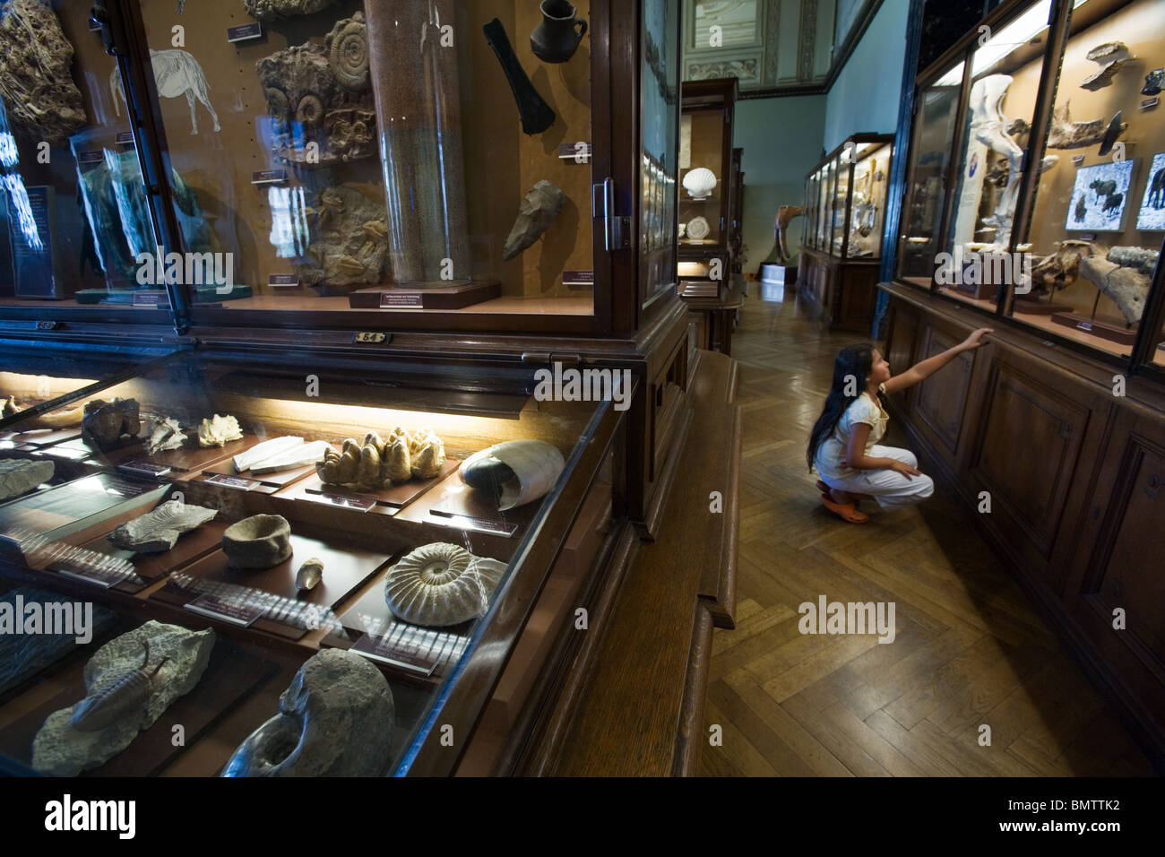 Natural History Museum, Vienne, Autriche Banque D'Images