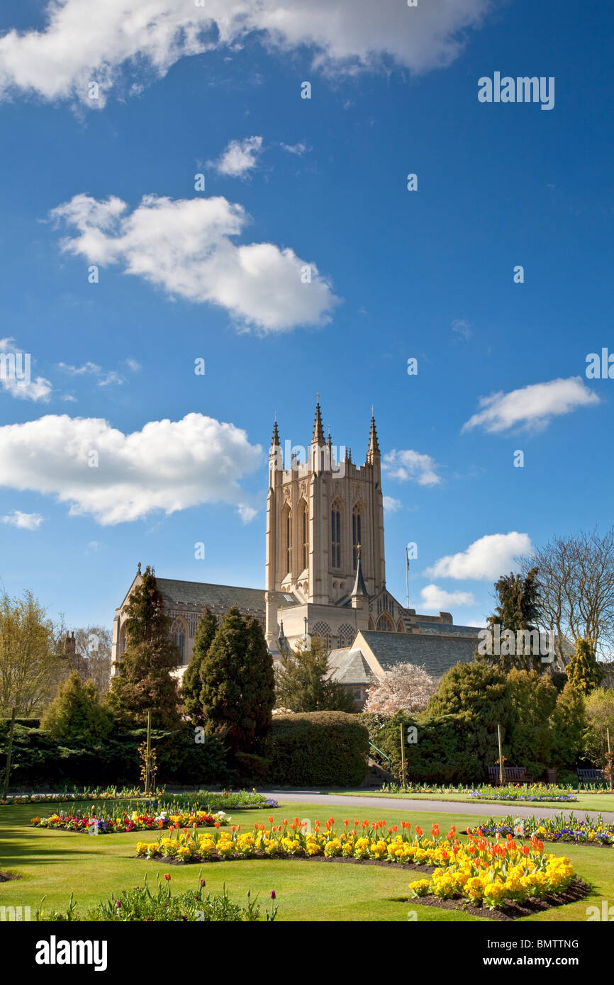 Cathédrale St Edmundsbury & jardins de l'abbaye sur une journée ensoleillée à Bury St Edmunds Banque D'Images