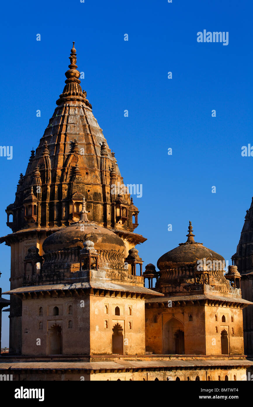 Clocher d'un cénotaphe, Orchha, Madhya Pradesh, Inde Banque D'Images Clocher d'un cénotaphe, Orchha, Madhya Pradesh, Inde Banque D'Images