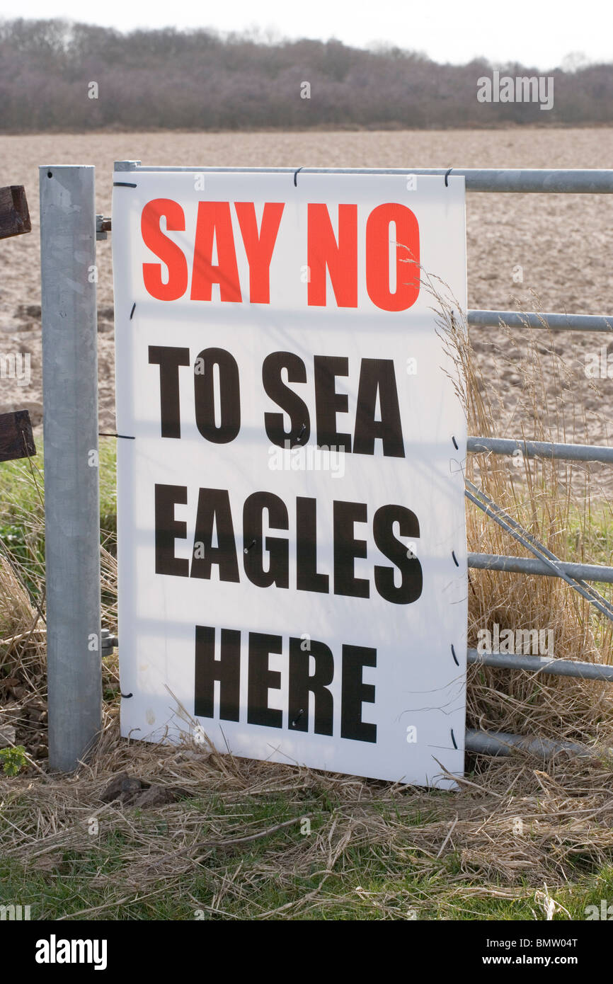Signe de protestation sur la ferme à l'encontre d'un projet de ré-introduction d'des pygargues à queue blanche (Haliaeetus albicilia), à Norfolk, l'East Anglia. L'Angleterre. UK. Banque D'Images