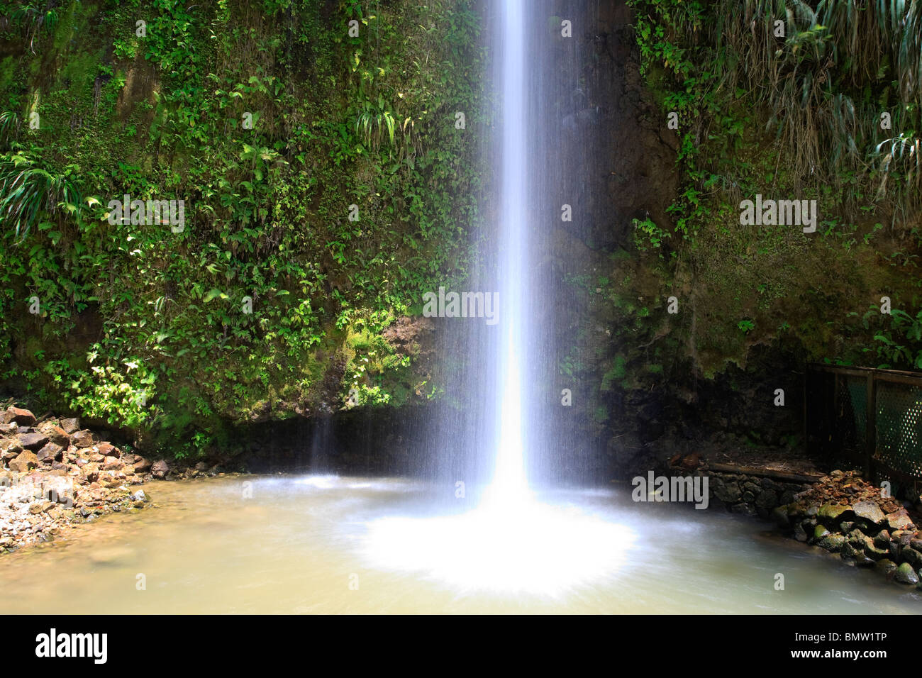 Caraïbes, St Lucia, Cascade Toraille Banque D'Images