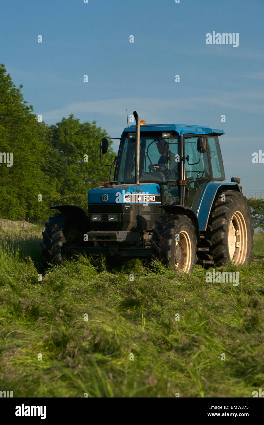 Foin de tonte Banque D'Images