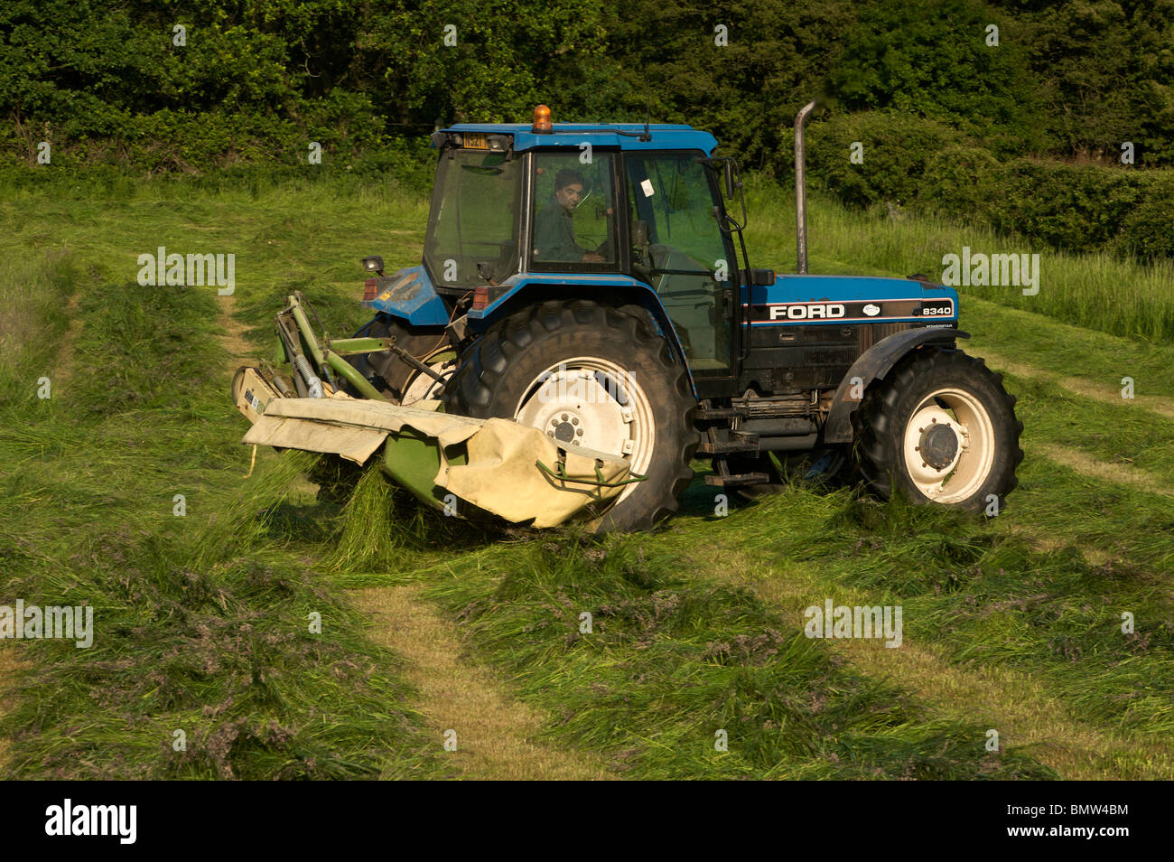 Foin de tonte Banque D'Images