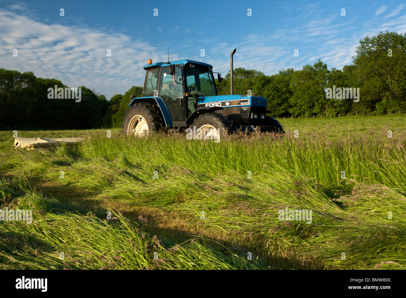 Foin de tonte Banque D'Images