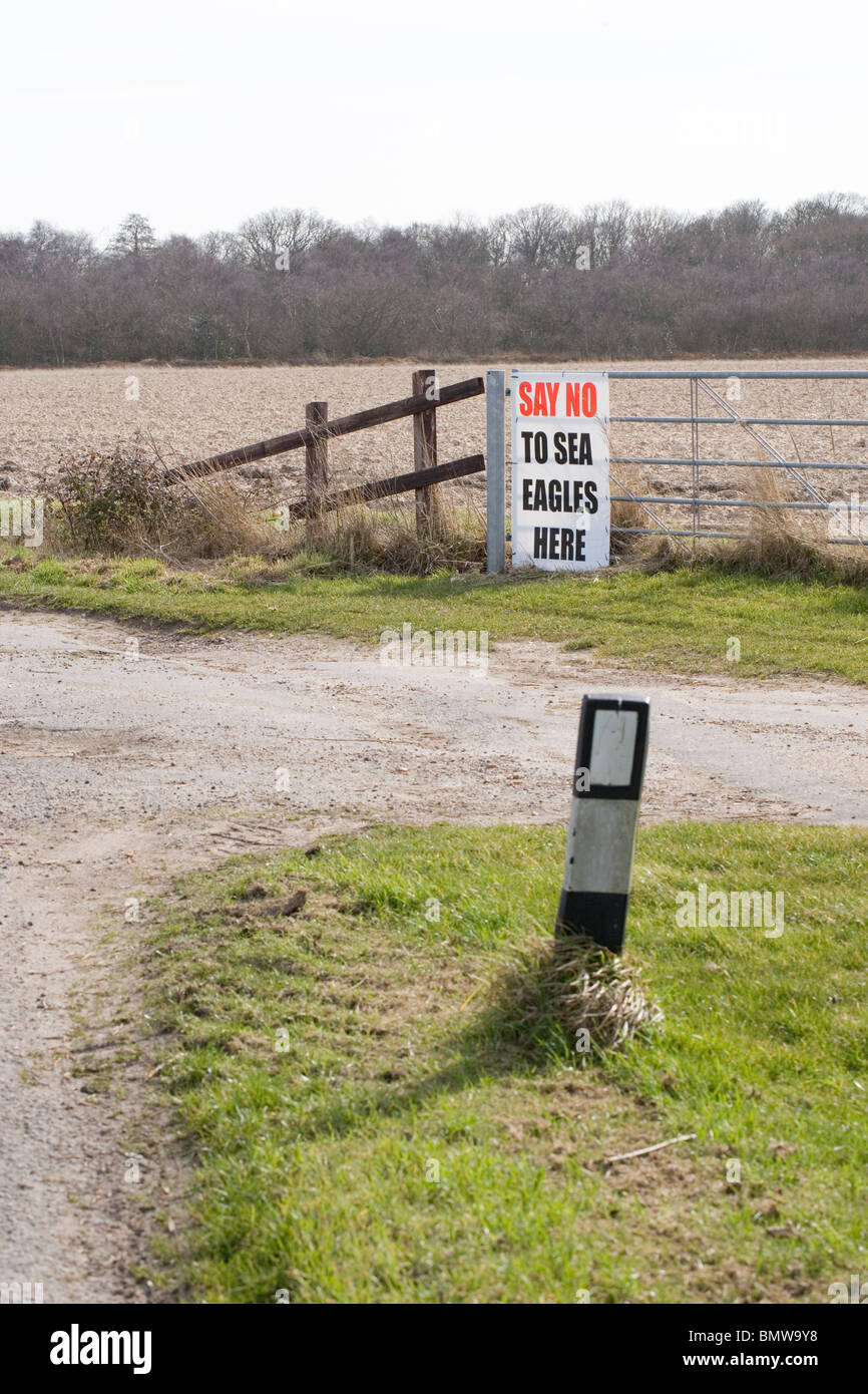 Signe de protestation contre le projet à la ferme sur la ré-introduction d'des pygargues à queue blanche (Haliaeetus albicilia), à l'East Anglia. Banque D'Images