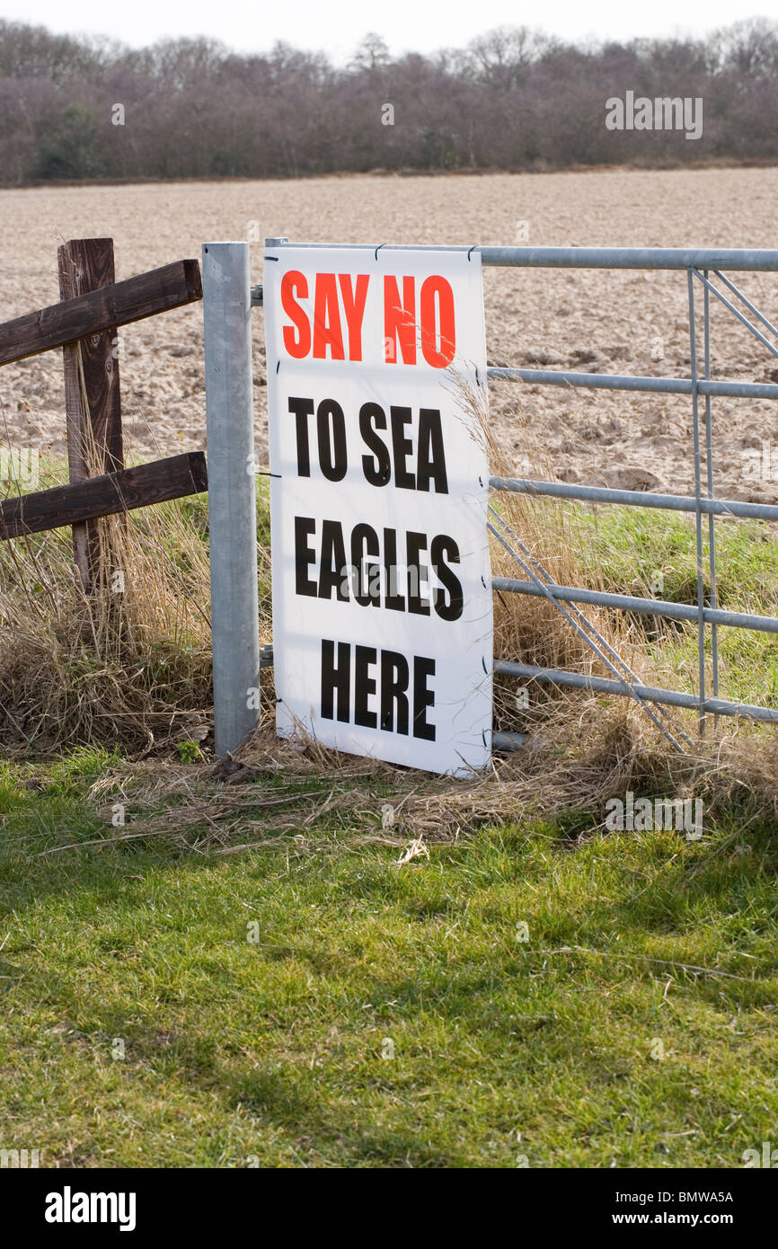 Signe de protestation sur la ferme à l'encontre d'un projet de ré-introduction d'des pygargues à queue blanche (Haliaeetus albicilia), à Norfolk, l'East Anglia. L'Angleterre. UK. Banque D'Images