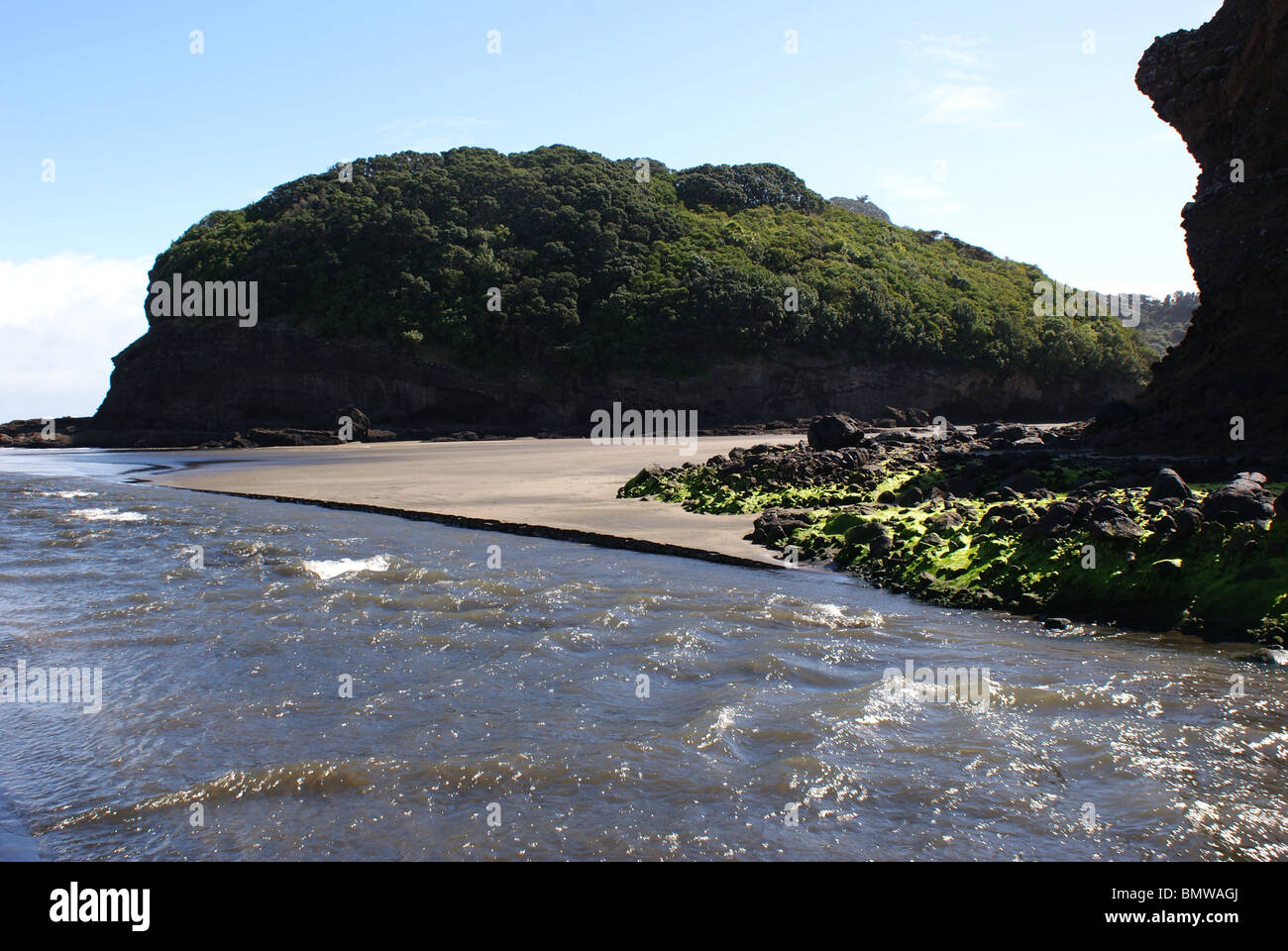 Te Henga Beach sur la côte ouest sauvage d'Auckland. Banque D'Images