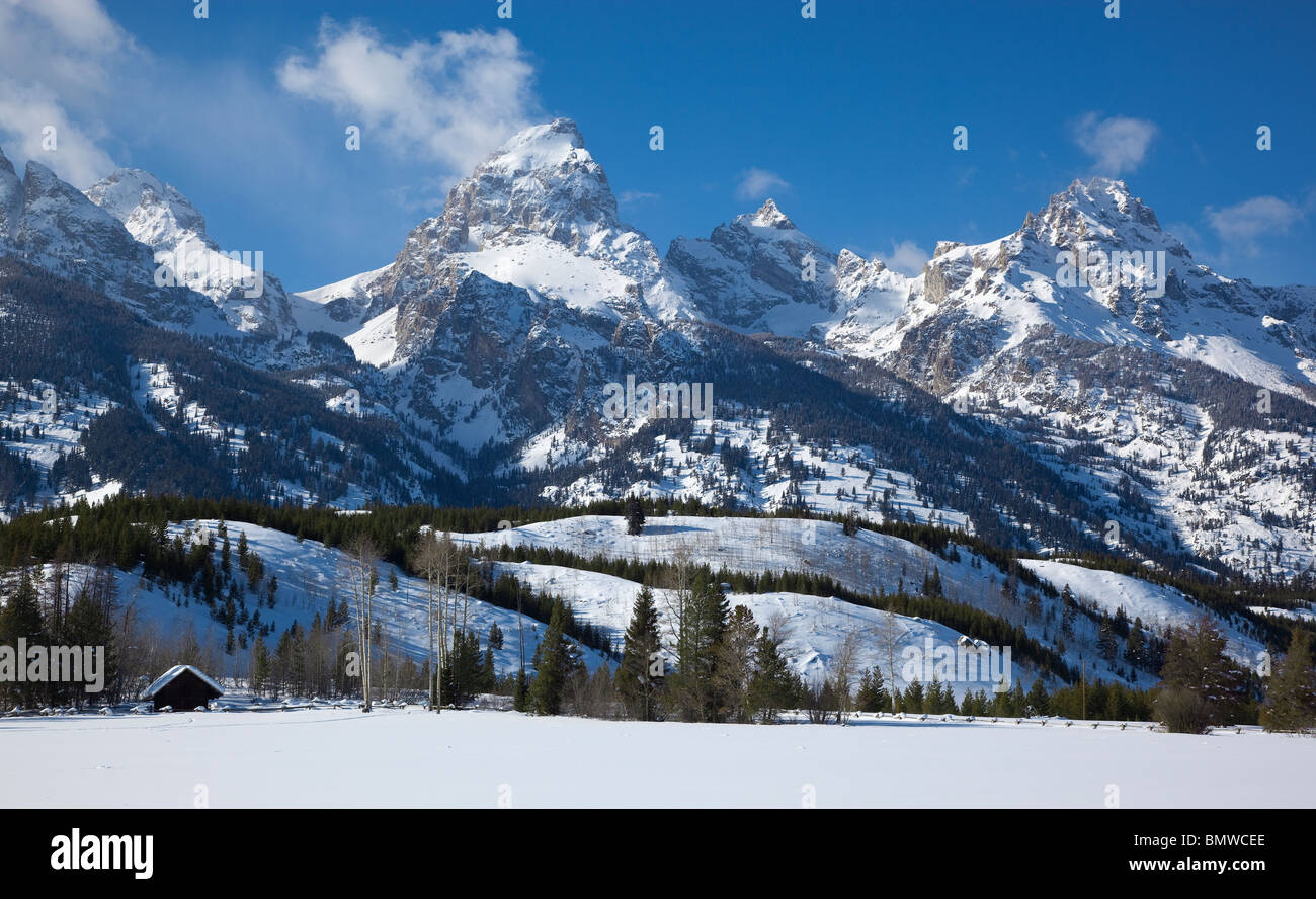 Parc National de Grand Teton, Wyoming enneigés des ligne de clôture avec les sommets de la chaîne Teton dans la lumière d'hiver Banque D'Images