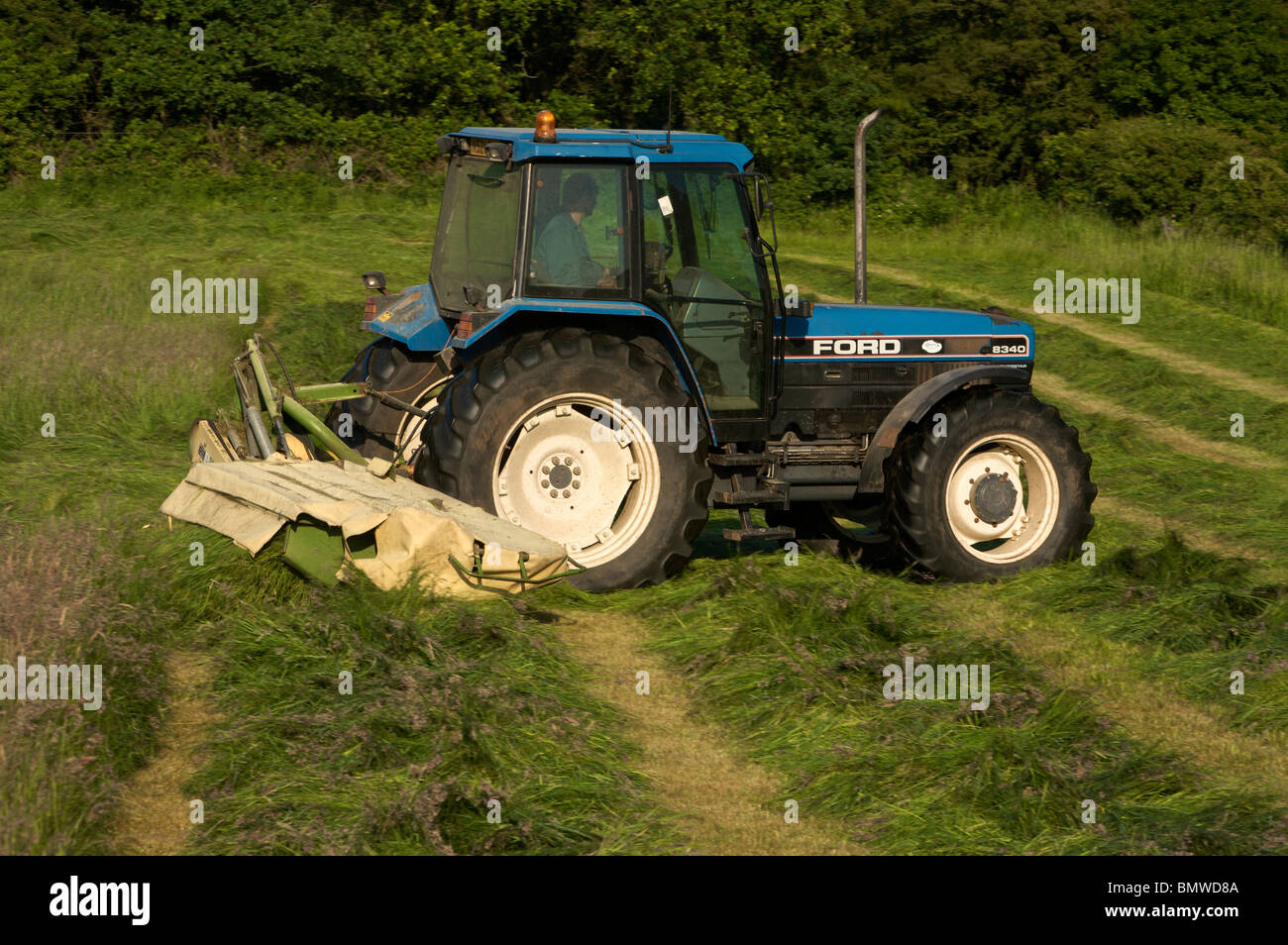 Foin de tonte Banque D'Images