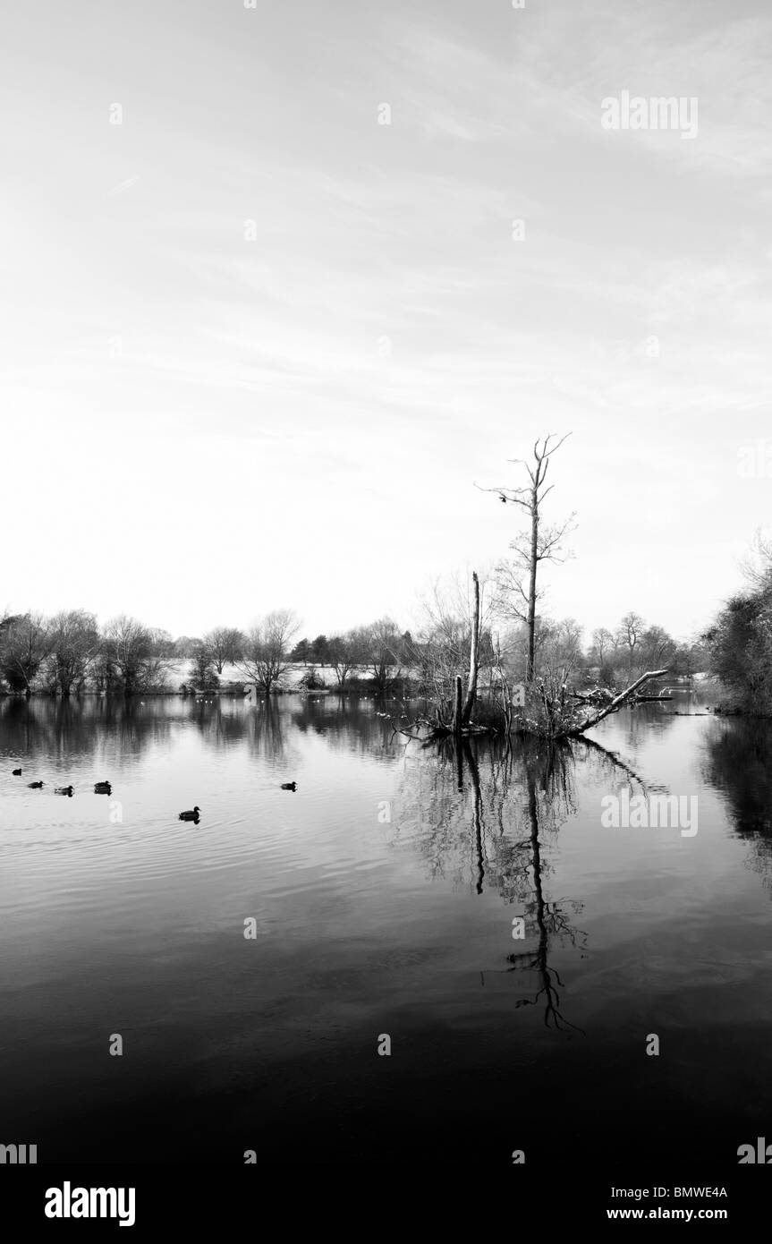 Une image en noir et blanc d'un lac en hiver Banque D'Images