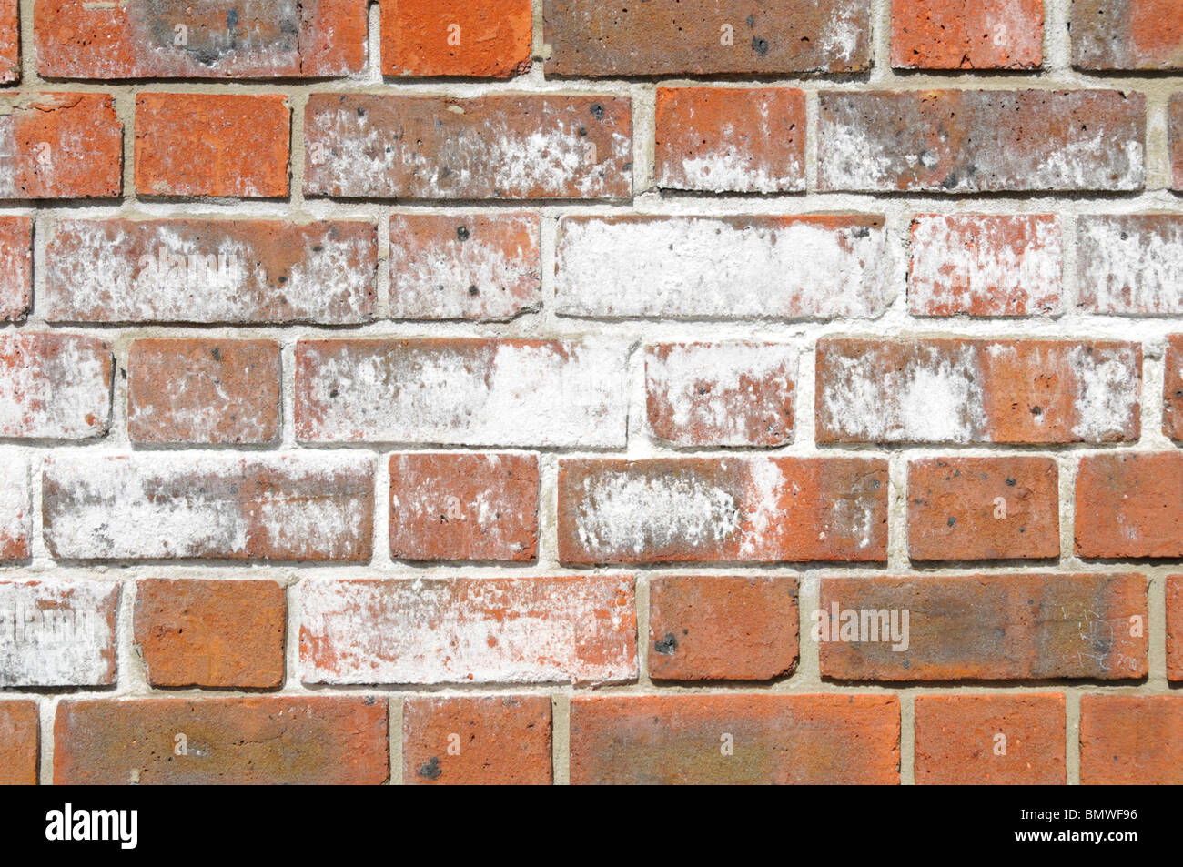 Gros plan mur de briques efflorescence blanc sel poudre défigurant aspect et coloration des matériaux de construction de briques rouges externes Londres Angleterre Royaume-Uni Banque D'Images