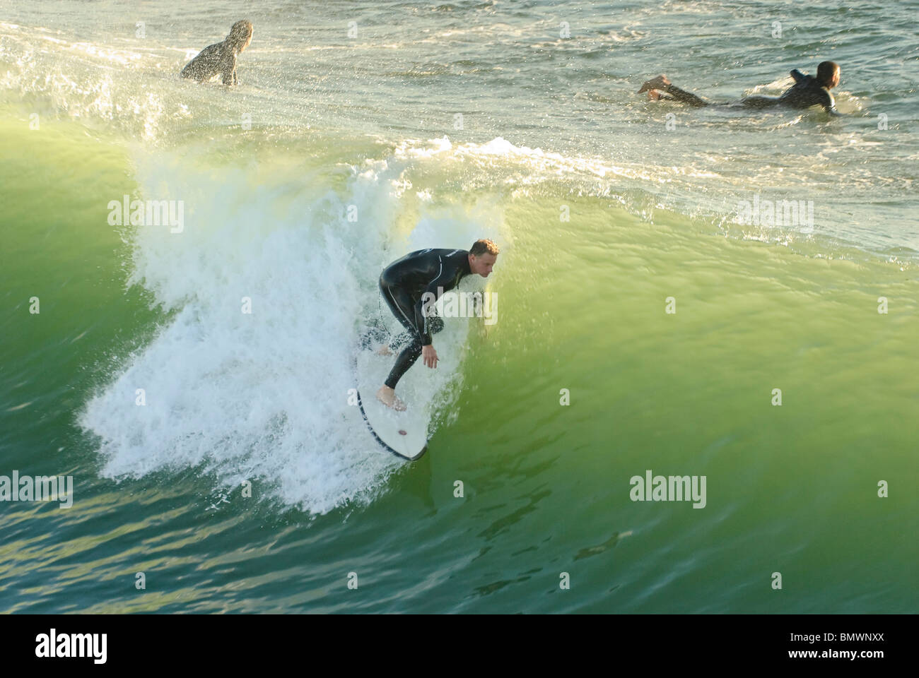 Grand groupe de surfeurs se sont réunis à Surf City, USA à Huntington Beach, Californie. Banque D'Images