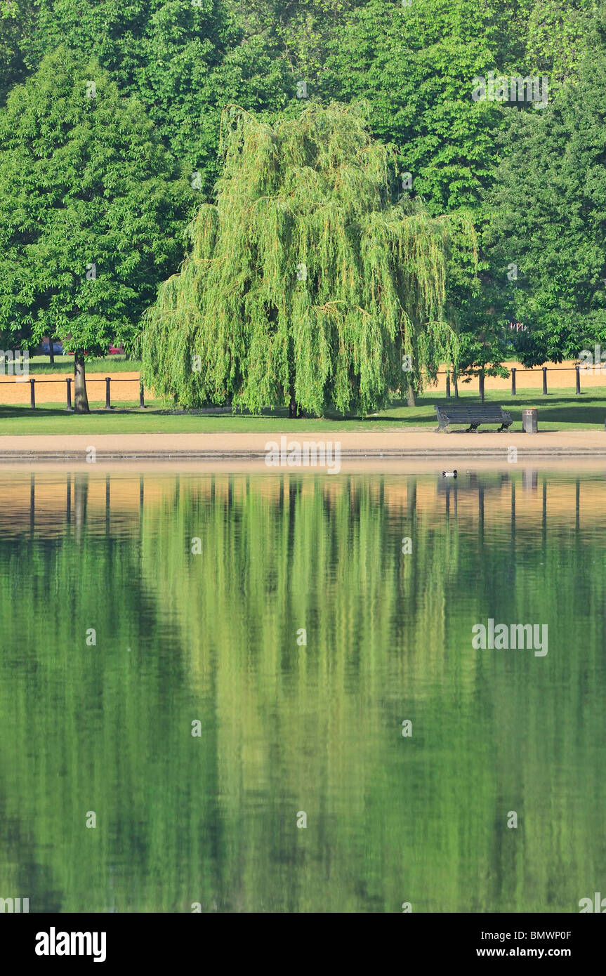 La serpentine, à Hyde Park, Londres, Royaume-Uni Banque D'Images