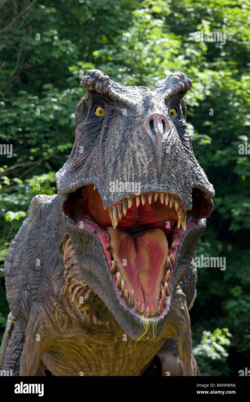 Close up chef de Tyrannosaurus rex une therpod carnivores Wildlife Park Combe Martin Devon UK Banque D'Images